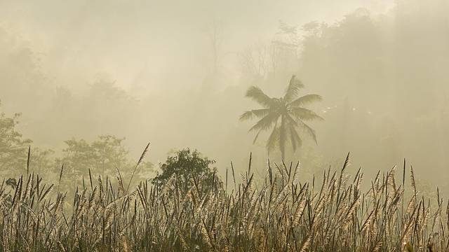 Suan Phueng, Ratchaburi